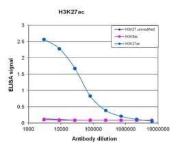 Invitrogen H3K27ac Monoclonal Antibody, ChIP-Verified 10 &mu;g; Unconjugated:Antibodies,