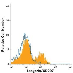 Langerin Mouse anti-Human, APC, Clone: 343828, Invitrogen 100 Tests; APC:Antikroppar