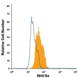 Invitrogen WNT9A Monoclonal Antibody (326711), Alexa Fluor 488 100 &mu;g;
