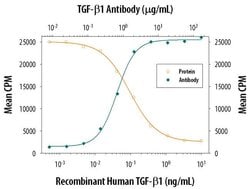 TGF beta-1 Mouse anti-Mouse, Clone: 9016, Invitrogen 500 &mu;g; Unconjugated:Antibodies,