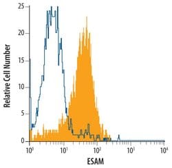 Invitrogen ESAM Monoclonal Antibody (408519) 100 &mu;g; Unconjugated:Antibodies,