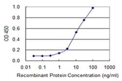 Invitrogen HOXD4 Monoclonal Antibody (1H7) 100 &mu;g; Unconjugated:Antibodies,
