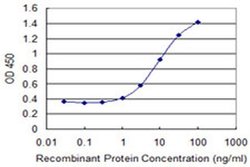 Invitrogen PAFAH2 Monoclonal Antibody (1A8) 100 &mu;g; Unconjugated:Antibodies,