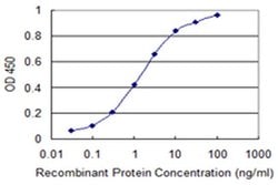 Invitrogen PRRG2 Monoclonal Antibody (7D1) 100 &mu;g; Unconjugated:Antibodies,