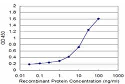 Invitrogen PIGQ Monoclonal Antibody (2B7) 100 &mu;g; Unconjugated:Antibodies,