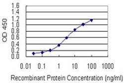 Invitrogen RAI1 Monoclonal Antibody (6H5) 100 &mu;g; Unconjugated:Antibodies,