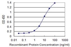 Invitrogen VAMP5 Monoclonal Antibody (3D4) 100 &mu;g; Unconjugated:Antibodies,
