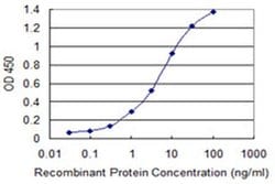 Invitrogen XAGE2 Monoclonal Antibody (4C4) 100 &mu;g; Unconjugated:Antibodies,