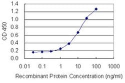 Invitrogen PRR4 Monoclonal Antibody (1D2) 100 &mu;g; Unconjugated:Antibodies,