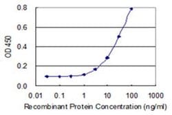 Invitrogen IER2 Monoclonal Antibody (3E2) 100 &mu;g; Unconjugated:Antibodies,