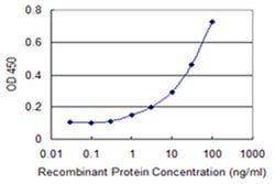 Invitrogen HHLA3 Monoclonal Antibody (1F6) 100 &mu;g; Unconjugated:Antibodies,