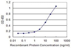 Invitrogen SUSD5 Monoclonal Antibody (4G3) 100 &mu;g; Unconjugated:Antibodies,