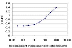 Invitrogen HERC4 Monoclonal Antibody (2G7) 100 &mu;g; Unconjugated:Antibodies,