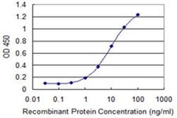 Invitrogen RhoBTB3 Monoclonal Antibody (3A10) 100 &mu;g; Unconjugated:Antibodies,