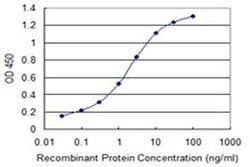 Invitrogen TIMM10B Monoclonal Antibody (1A11) 100 &mu;g; Unconjugated:Antibodies,