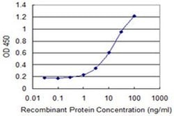 Invitrogen CLEC1A Monoclonal Antibody (2F7) 100 &mu;g; Unconjugated:Antibodies,