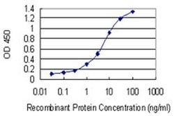 Invitrogen MYOZ2 Monoclonal Antibody (1D4) 100 &mu;g | Buy Online | Invitrogen&trade; | Fisher Scientific