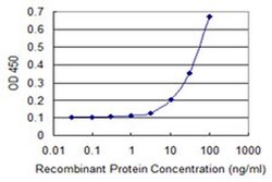 Invitrogen TUBD1 Monoclonal Antibody (3C7) 100 &mu;g; Unconjugated:Antibodies,