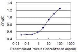 Invitrogen NDFIP2 Monoclonal Antibody (2C7) 100 &mu;g; Unconjugated:Antibodies,