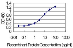 Invitrogen ODAM Monoclonal Antibody (2F8) 100 &mu;g; Unconjugated:Antibodies,