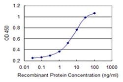 Invitrogen MED25 Monoclonal Antibody (7F1) 100 &mu;g; Unconjugated:Antibodies,