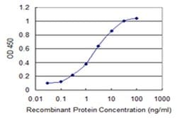 Invitrogen CHST12 Monoclonal Antibody (3D6) 100 &mu;g; Unconjugated:Antibodies,