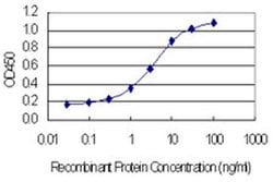 Invitrogen NOLA3 Monoclonal Antibody (6H6) 100 &mu;g; Unconjugated:Antibodies,
