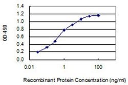 Invitrogen CHRNA9 Monoclonal Antibody (8E4) 100 &mu;g; Unconjugated:Antibodies,