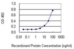 Invitrogen THG1L Monoclonal Antibody (4F11) 100 &mu;g; Unconjugated:Antibodies,