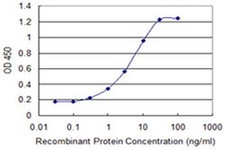 Invitrogen MBD3L1 Monoclonal Antibody (1C7) 100 &mu;g; Unconjugated:Antibodies,