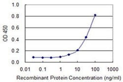 Invitrogen PIGS Monoclonal Antibody (3F3) 100 &mu;g; Unconjugated:Antibodies,