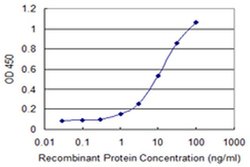 Invitrogen EFHC1 Monoclonal Antibody (4E7) 100 &mu;g; Unconjugated:Antibodies,