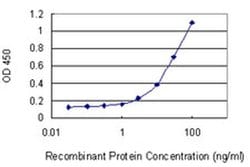 Invitrogen RBP7 Monoclonal Antibody (4F4) 100 &mu;g; Unconjugated:Antibodies,