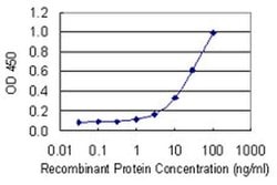 Invitrogen ASZ1 Monoclonal Antibody (3C9) 100 &mu;g; Unconjugated:Antibodies,