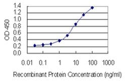 Invitrogen SPANXN3 Monoclonal Antibody (1F11) 100 &mu;g; Unconjugated:Antibodies,