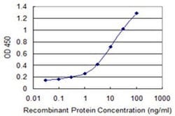 Invitrogen TTL Monoclonal Antibody (1B2) 100 &mu;g; Unconjugated:Antibodies,