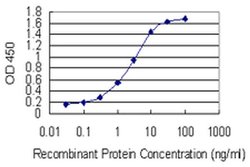 Invitrogen SPRR4 Monoclonal Antibody (1G5) 100 &mu;g; Unconjugated:Antibodies,