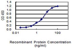 Invitrogen FAM174A Monoclonal Antibody (1F3) 50 &mu;g; Unconjugated:Antibodies,