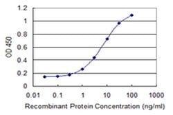 Invitrogen C14orf129 Monoclonal Antibody (2F2) 100 &mu;g; Unconjugated:Antibodies,