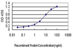 Invitrogen HYI Monoclonal Antibody (2A2) 100 &mu;g; Unconjugated:Antibodies,