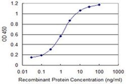 Invitrogen FDX1 Monoclonal Antibody (1E7) 100 &mu;g; Unconjugated:Antibodies,
