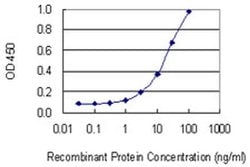 Invitrogen CSAD Monoclonal Antibody (2C11) 50 &mu;g; Unconjugated:Antibodies,