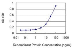 Invitrogen ACD Monoclonal Antibody (1C11-1A7) 100 &mu;g; Unconjugated:Antibodies,