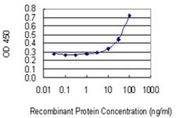 Invitrogen PMVK Monoclonal Antibody (2B8) 100 &mu;g | Buy Online | Invitrogen&trade; | Fisher Scientific
