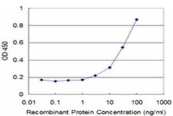 Invitrogen ZBTB25 Monoclonal Antibody (2E8) 100 &mu;g; Unconjugated:Antibodies,