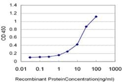 Invitrogen GALNTL4 Monoclonal Antibody (1F9) 50 &mu;g; Unconjugated:Antibodies,