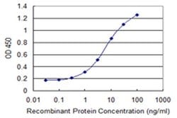 Invitrogen PCDHA7 Monoclonal Antibody (1C7) 100 μg; Unconjugated:Antibodies,