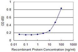 Invitrogen TSSK3 Monoclonal Antibody (3F9) 100 &mu;g; Unconjugated:Antibodies,
