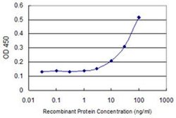 Invitrogen TSSK3 Monoclonal Antibody (6H4) 100 &mu;g; Unconjugated:Antibodies,