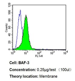 Invitrogen CD58 Monoclonal Antibody (TS2/9) 200 &mu;g; Unconjugated:Anticuerpos